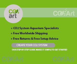 Diseño De Banner Publicitario por arunasliit para CO2Art Ltd | Diseño: #3713883
