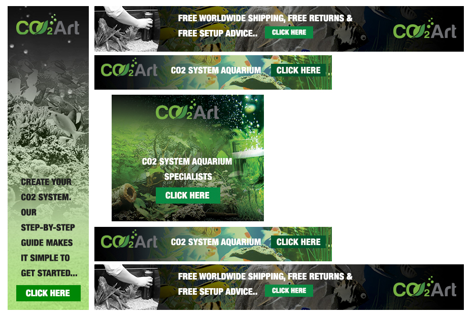 Diseño De Banner Publicitario por Bright Star para CO2Art Ltd | Diseño #3791028