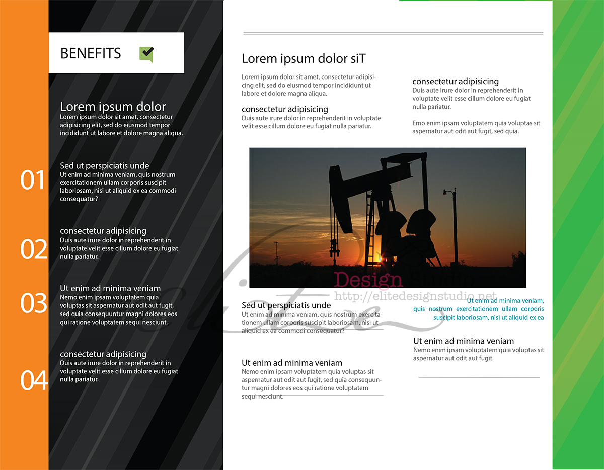 Diseño de Flyer por Caroloh para este proyecto | Diseño #3732522