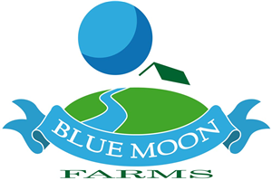 Logo Design by maralvar