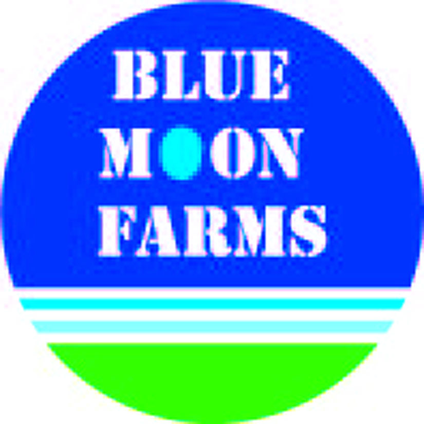 Logo-Design von kalchakra für dieses Projekt | Design #3764555