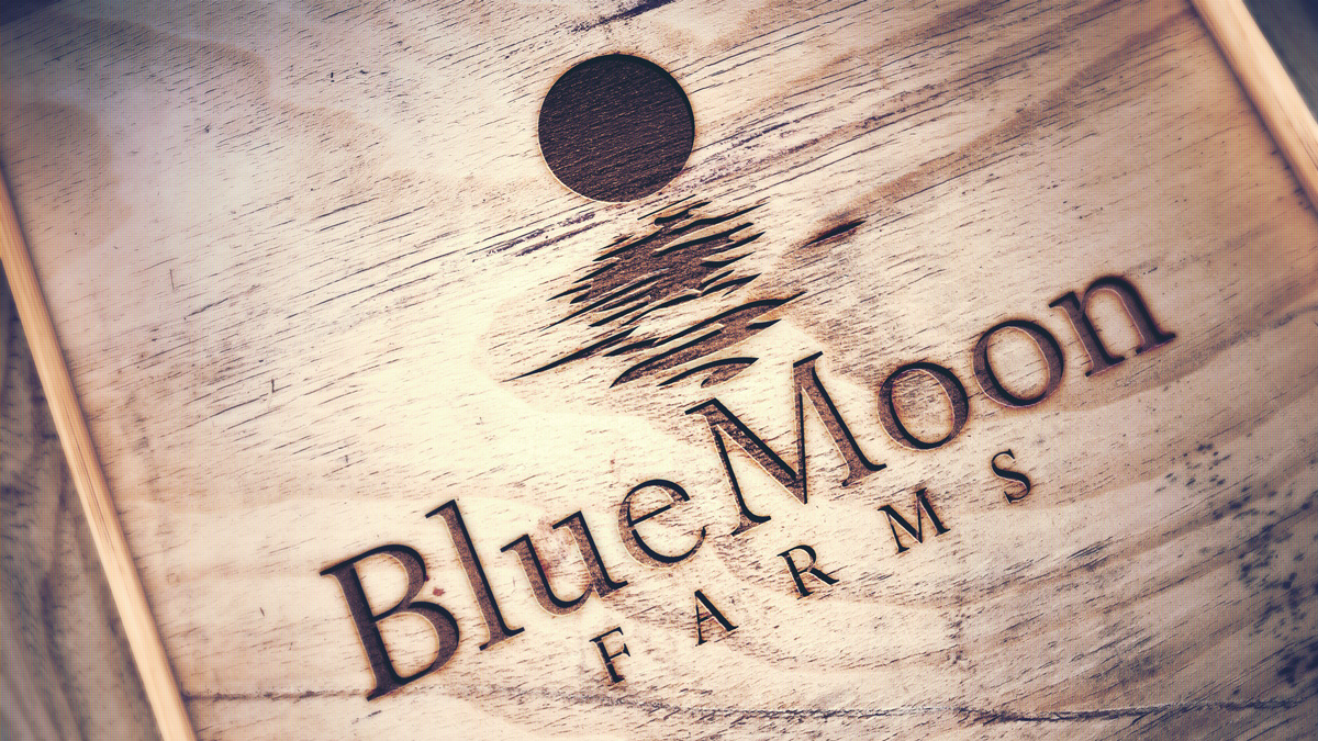 Logo-Design von JK für dieses Projekt | Design #3731632