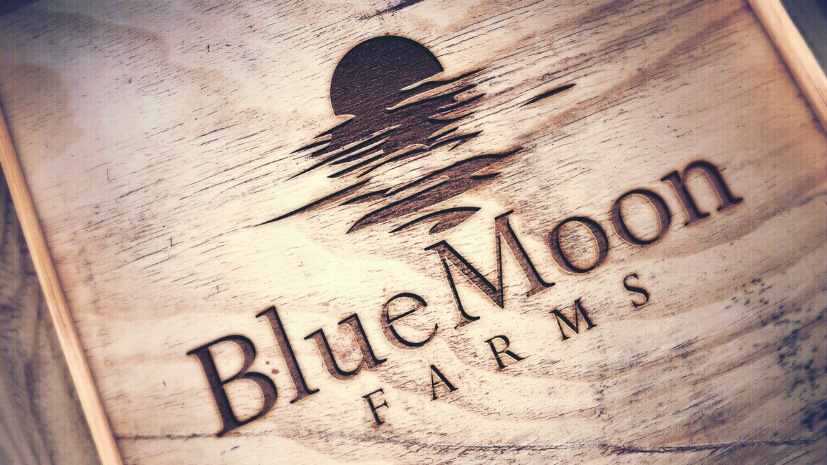 Logo-Design von JK für dieses Projekt | Design #3731634