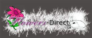 Logo Design by Portage Lakes Lettering for Flowers-Direct | Design: #112434