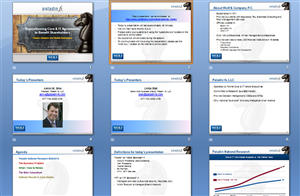 Diseño de PowerPoint por NG KIA HUI para este proyecto | Diseño #975095
