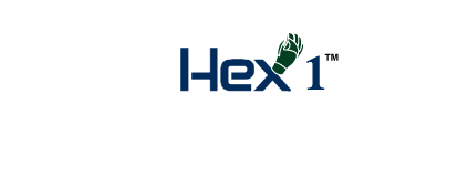 Logo Design by MSA for HexArmor | Design #974251
