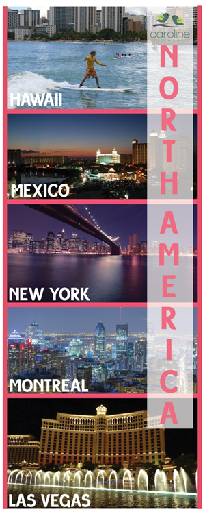 International Travel Agency Needs 5 Banners for stands at Wedding Fayres