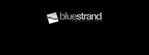 Logo-Design von Seamus Radu für Blue Strand Consulting LLC | Design: #3820404