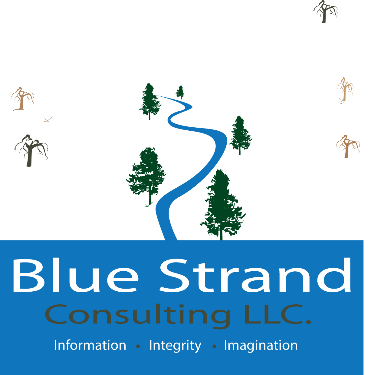 Logo Design by Humble Gallery for Blue Strand Consulting LLC | Design #3777259