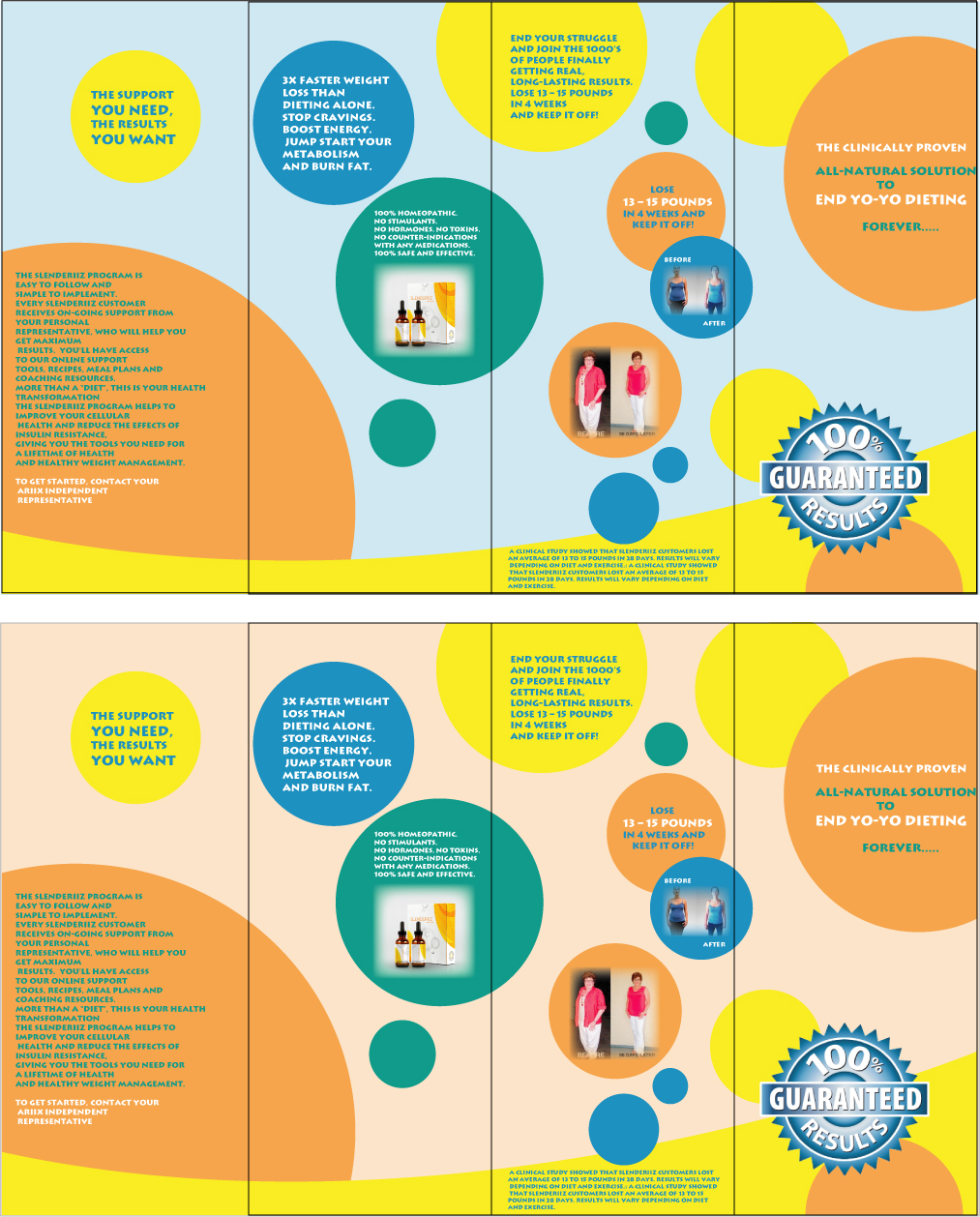 Diseño de Brochure por Yead Rahman para Lavenia Enterprises Inc. | Diseño #3704033