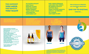 Design de Brochure par Yead Rahman pour Lavenia Enterprises Inc. | Design : #3708848
