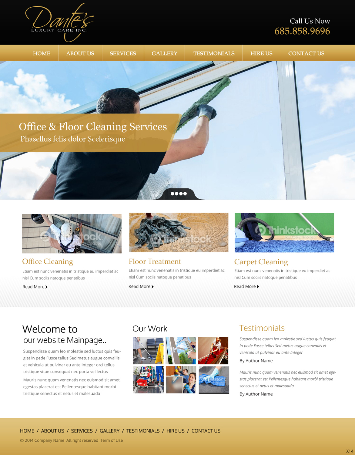 Wordpress Design by pb for Dante's Luxury Care | Design #3703429