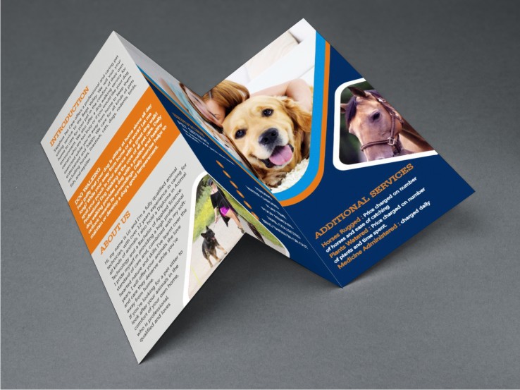 Brochure Design by hema dhawan for this project | Design #3698134