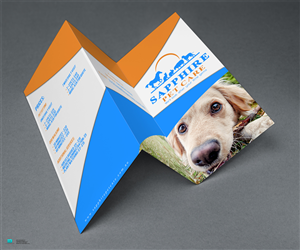 pet sitting business brochure | Brochure Design by Aurelio III