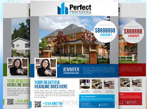 Design de Flyer par dubairt pour ce projet | Design : #972252