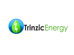 Logo Design by KT Creative for this project | Design: #3699317