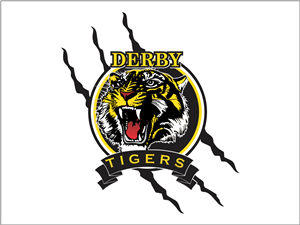 Logo Design by MD Design