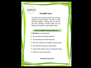 Diseño de Flyer por jerry24 para mint | Diseño: #3700080