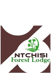 Logo Design by chemjor