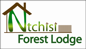 Logo Design by Ameer Fahi for this project | Design #3726398