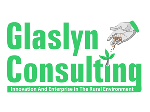 Logo Design by Kehinde bereola