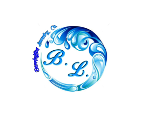 Logo-Design von no1success2011 für Barrington Laundry Co | Design: #3702441
