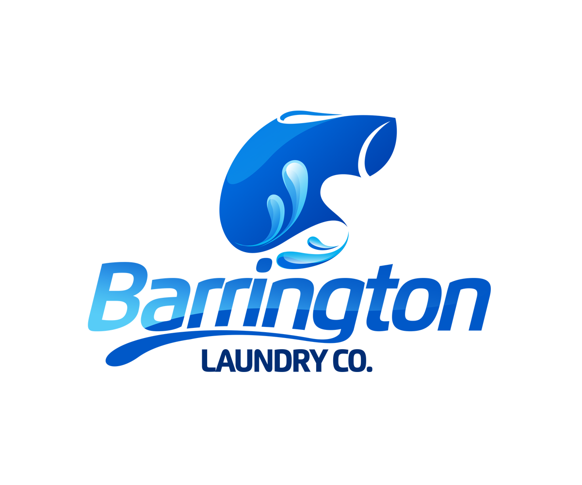 Logo Design by killpixel for Barrington Laundry Co | Design #3702107