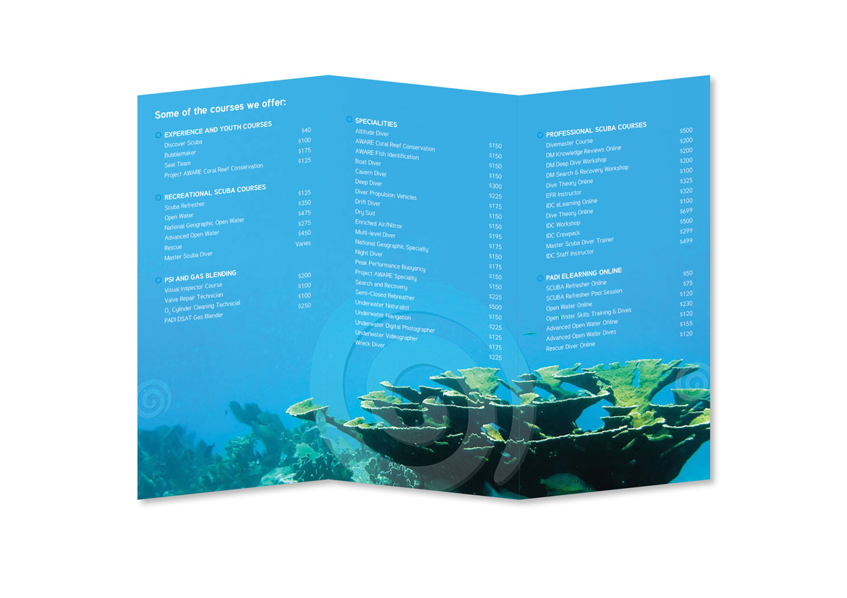 Brochure Design by JayTee for this project | Design #995229