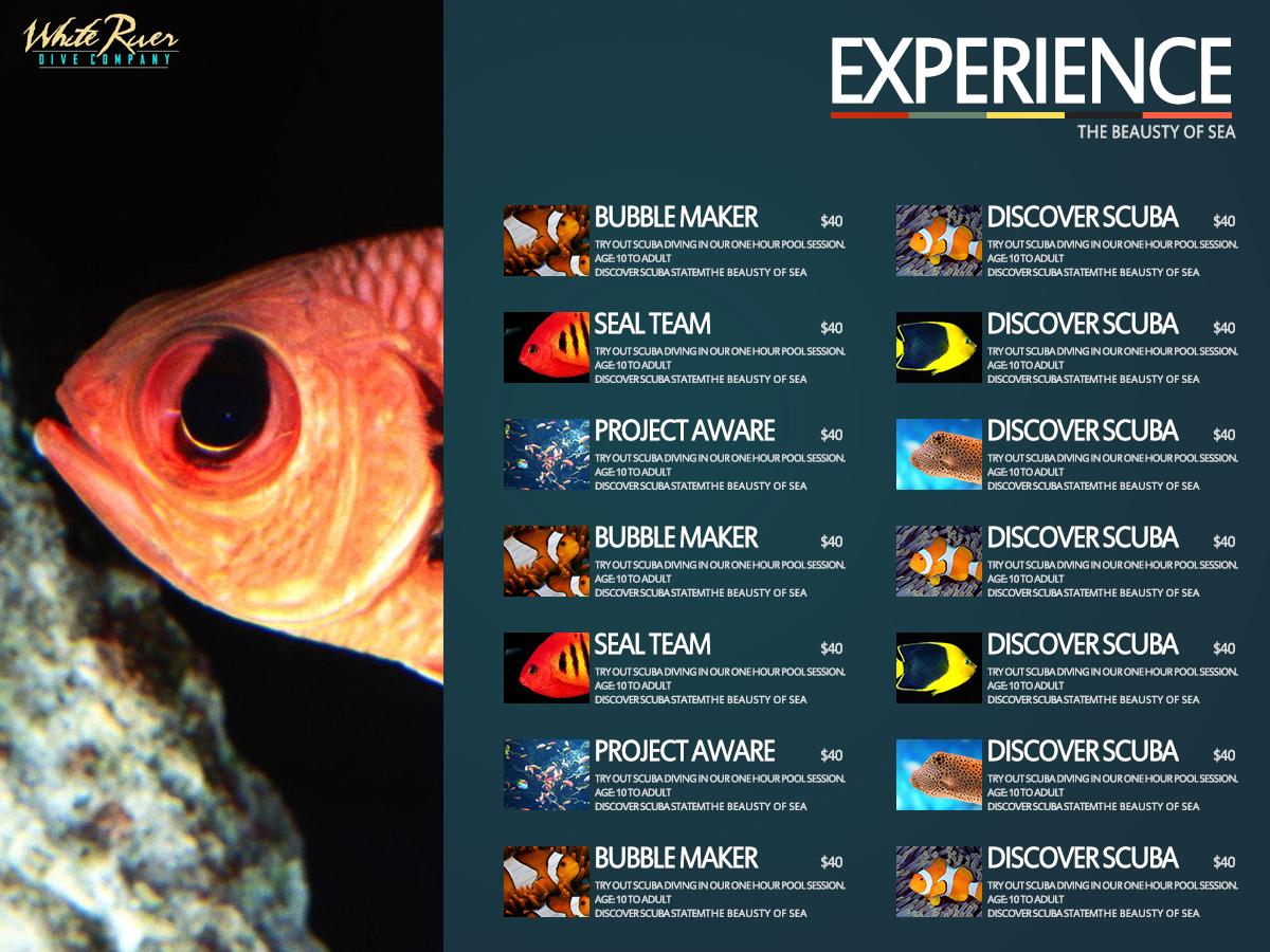 Diseño de Brochure por WirePaper para este proyecto | Diseño #974493