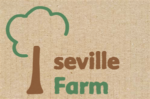 Logo Design by razu designs