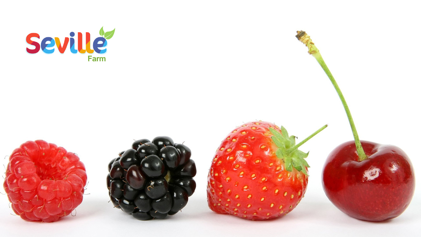 Logo Design by ninetyninestudio for McIntyre Property Holdings Pty Ltd | Design #3701704