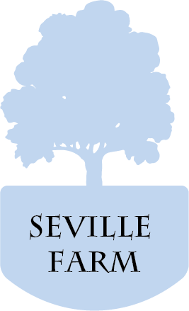 Logo Design by emmahornby