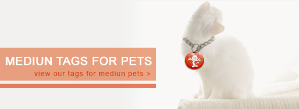 Graphic Design by fabicorrea for this project | Design #1068812