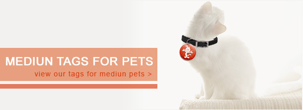 Graphic Design by fabicorrea for this project | Design #1071820