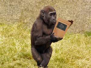 'Whey Good' Protein Company Needs Website Graphics. 