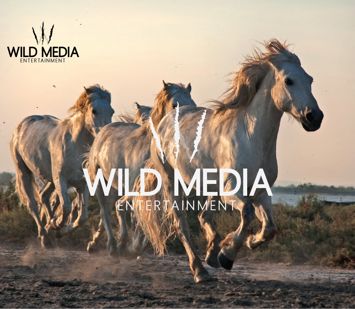 Logo Design by jordyboy for 2ofaMind Productions | Design #3704153