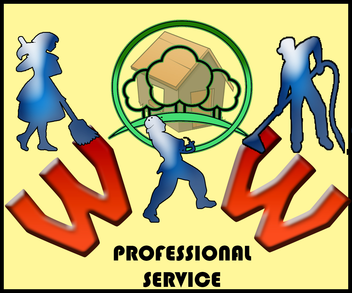 Diseño de Logo por arvinditbhu para Wow Professional Services | Diseño #3714586