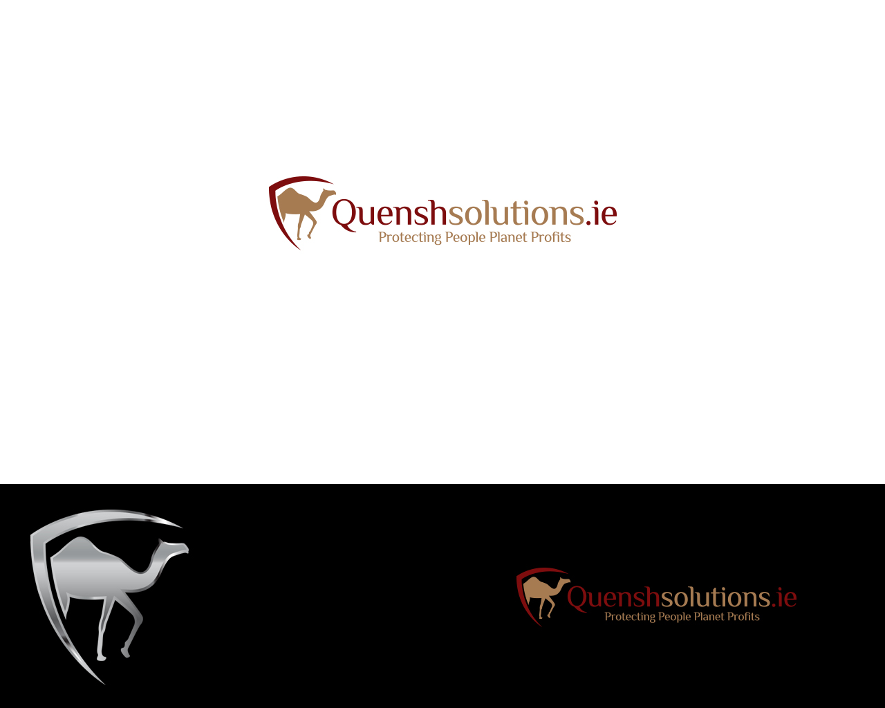 Diseño de Logo por damakyjr para Quenshsolutions Ltd | Diseño #3766776