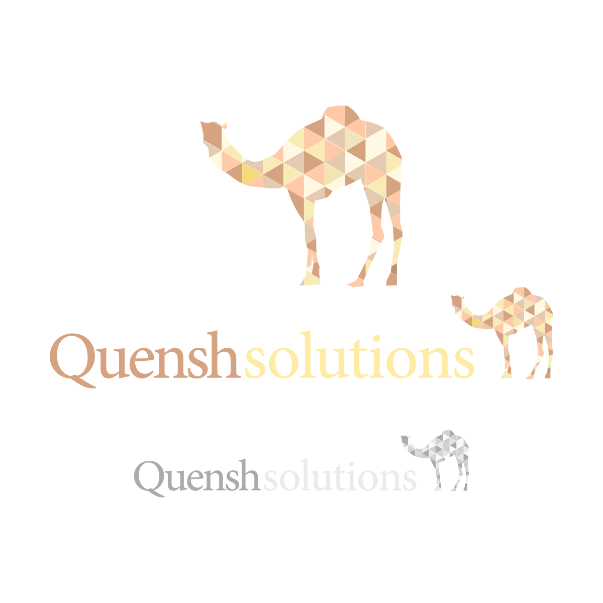 Logo Design by Dry Media Design for Quenshsolutions Ltd | Design #3780261