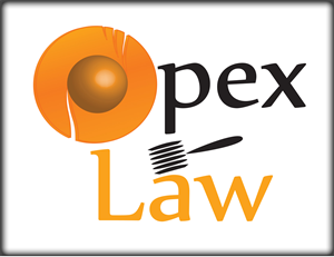 Logo Design by Ameer Fahi