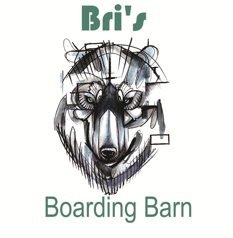 Art Design by tomy93 for this project | Design #3800927