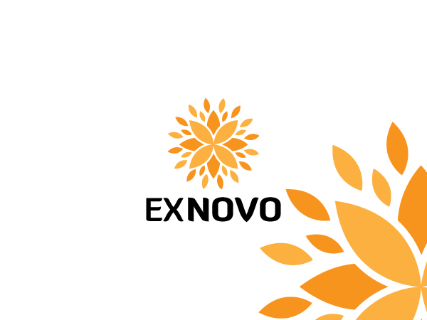 Logo Design by Crest Logo Designs for Ex Novo | Design #987969