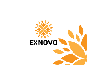 Logo Design by Crest Logo Designs for Ex Novo | Design: #987969
