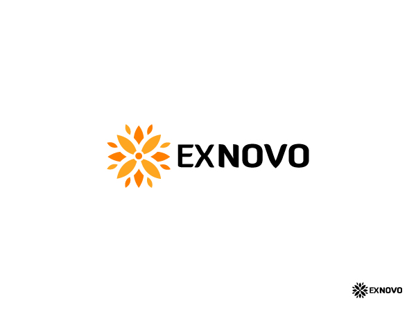 Logo Design by Crest Logo Designs for Ex Novo | Design #999138