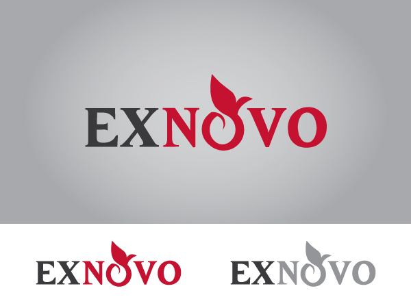 Logo Design by Crest Logo Designs for Ex Novo | Design #999458