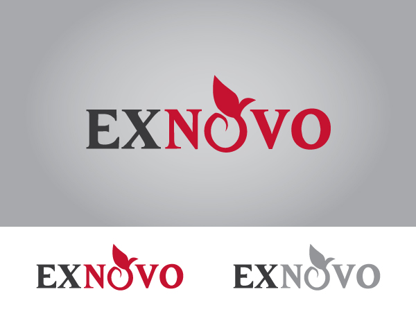 Logo Design by Crest Logo Designs for Ex Novo | Design #999465