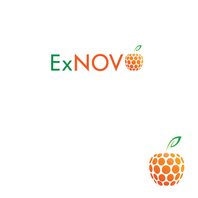 Logo Design by instudio for Ex Novo | Design #981218