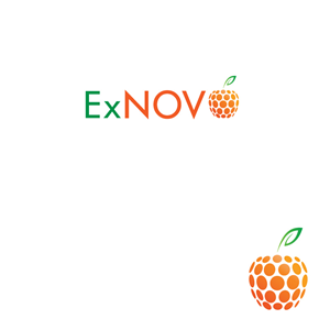 Logo Design by instudio for Ex Novo | Design: #981218