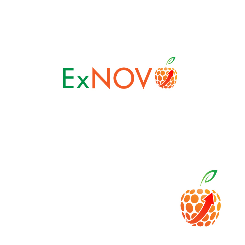 Logo Design by instudio for Ex Novo | Design #981219