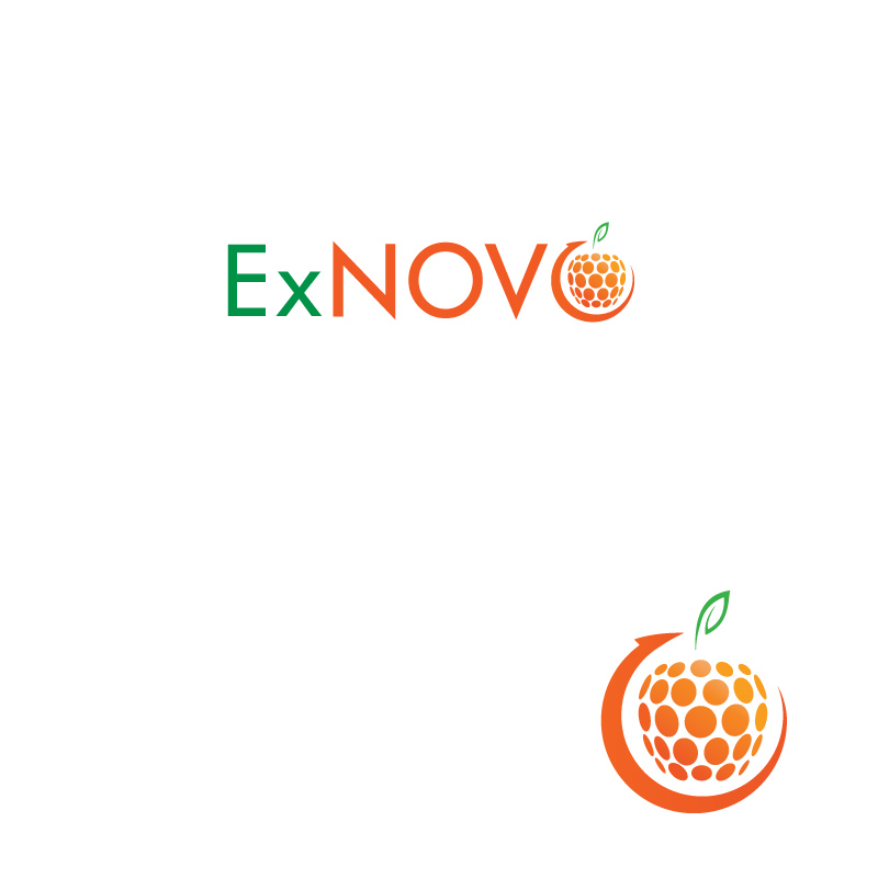 Logo Design by instudio for Ex Novo | Design #981222